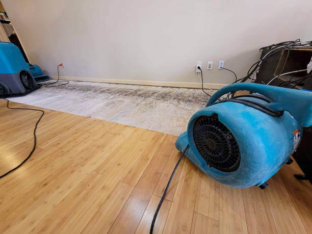Professional Water Extraction technician working in West Berlin, NJ